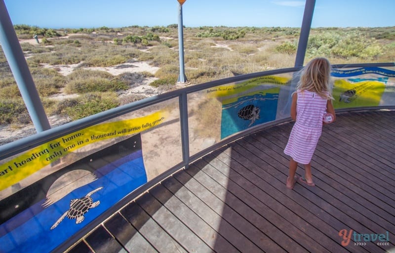 Kalyra reading signs at Jurabi Turtle centre - Exmouth, Western Australia