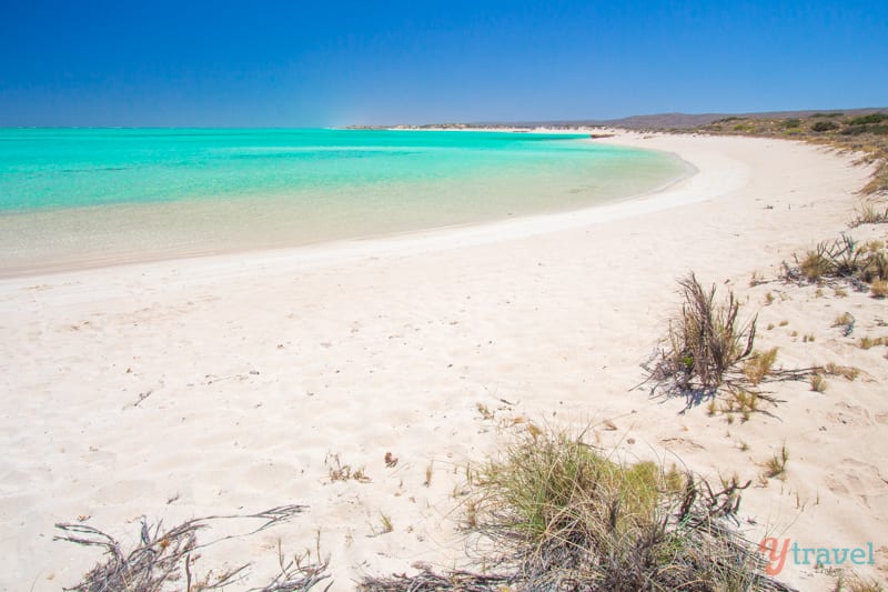 a beach with clear bright blue water