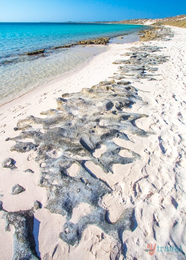 rocks on the beach