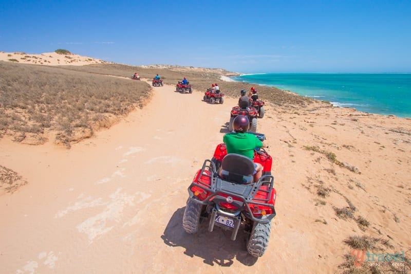 people Quad Biking on dirt track beside the ocean 