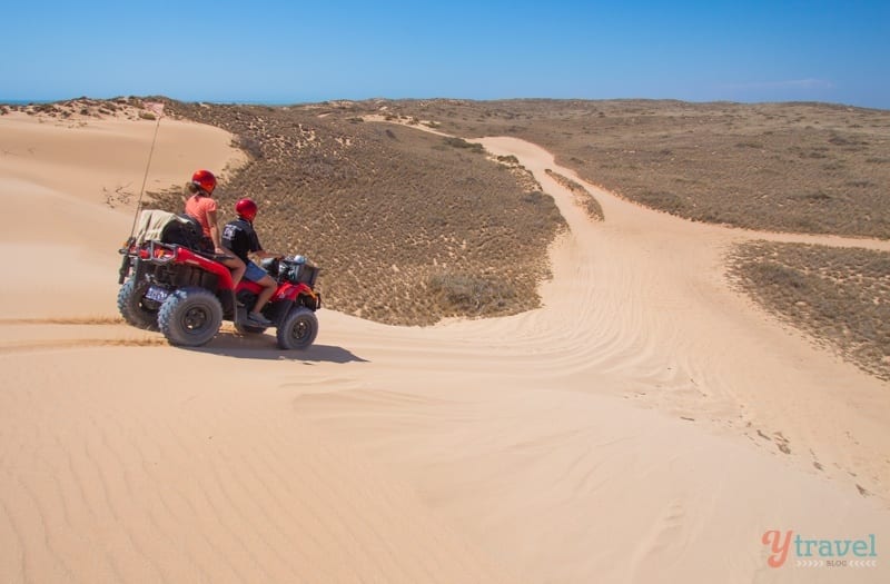 people riding on dirt bikes