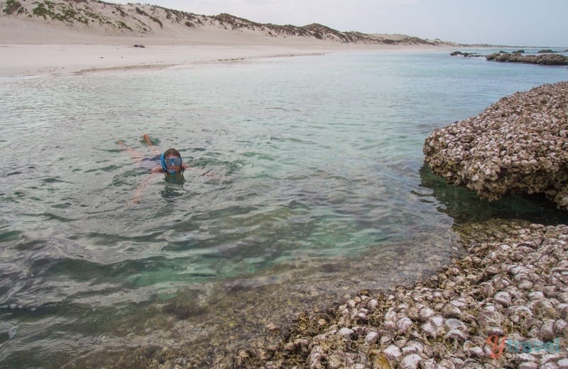 caroline swimming in the ocean