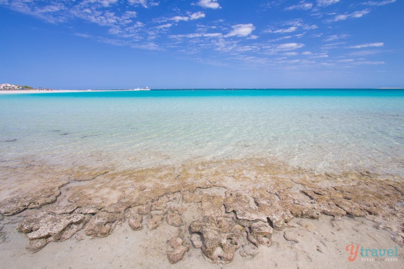 clear turquoise water of bills bay beach