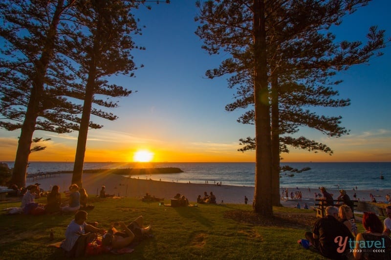 people sitting on grass wtching cottesloe beach sunset