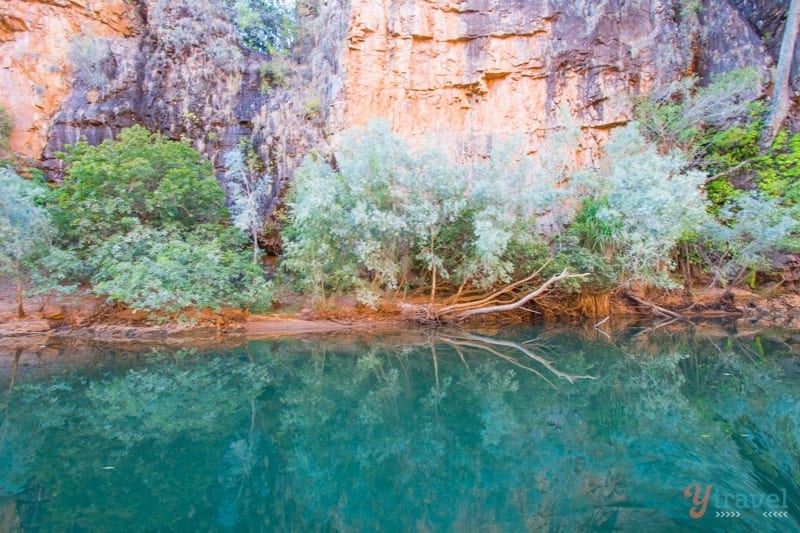 water and trees next to a cliff