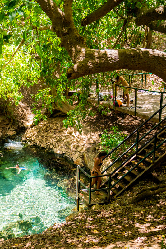 Katherine hot springs