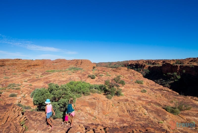 people walking on top of a canyon