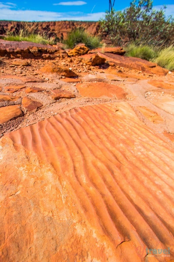 close up of a rock floor