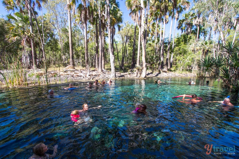 family swimming in Mataranka Hot Springs 