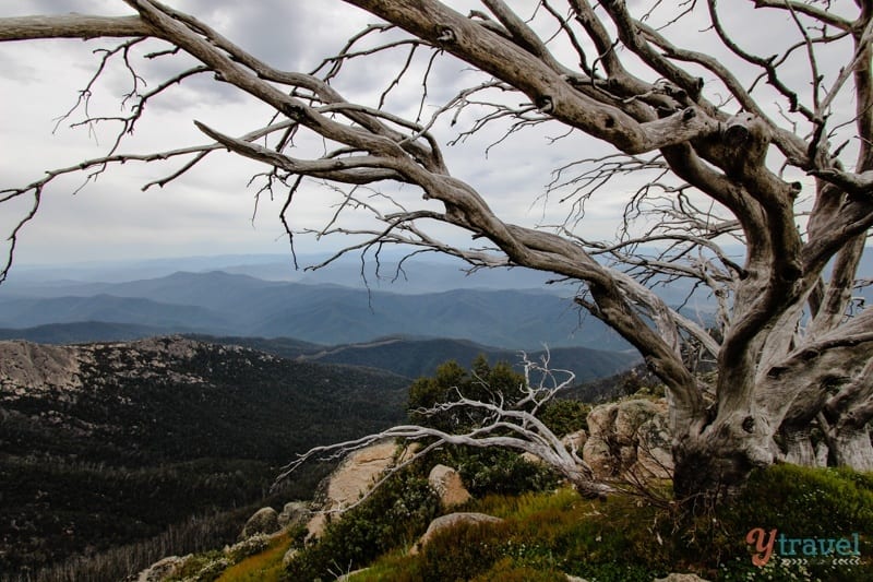 Mt Buffalo, Victoria, Australia