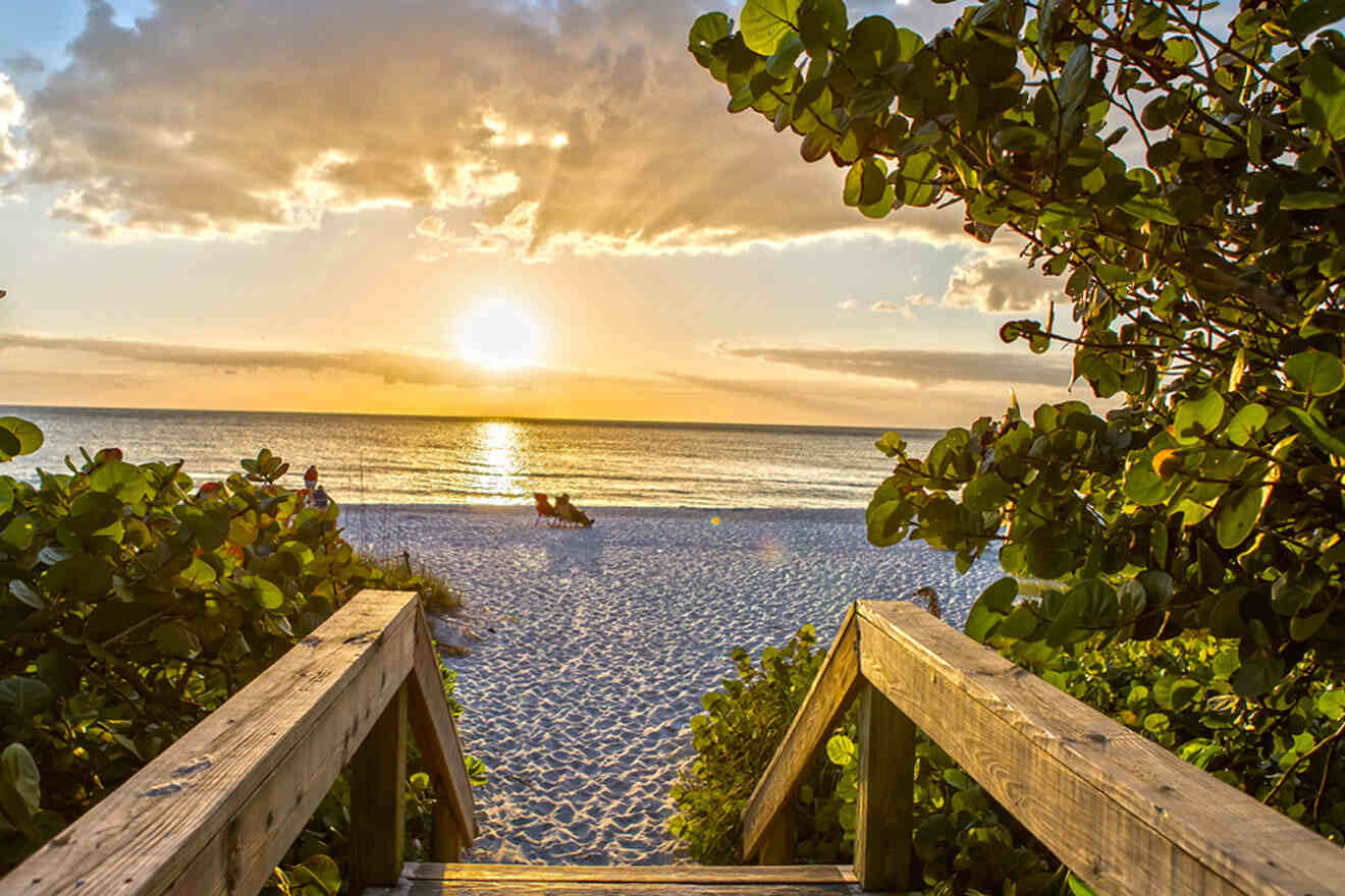 wooden footpath with beach view and sunset