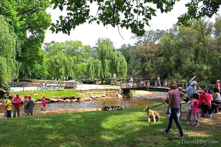 people in a park