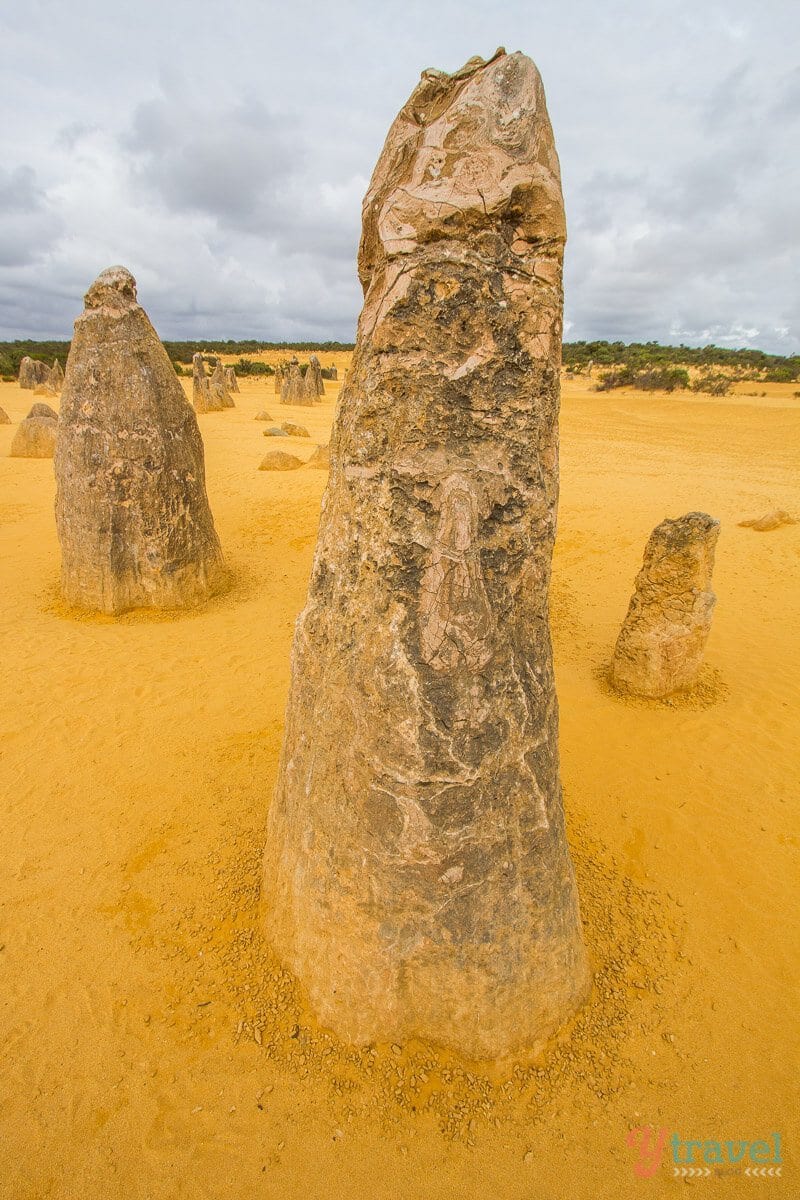 rocks in a desert