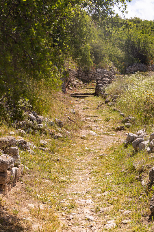 green rocky path