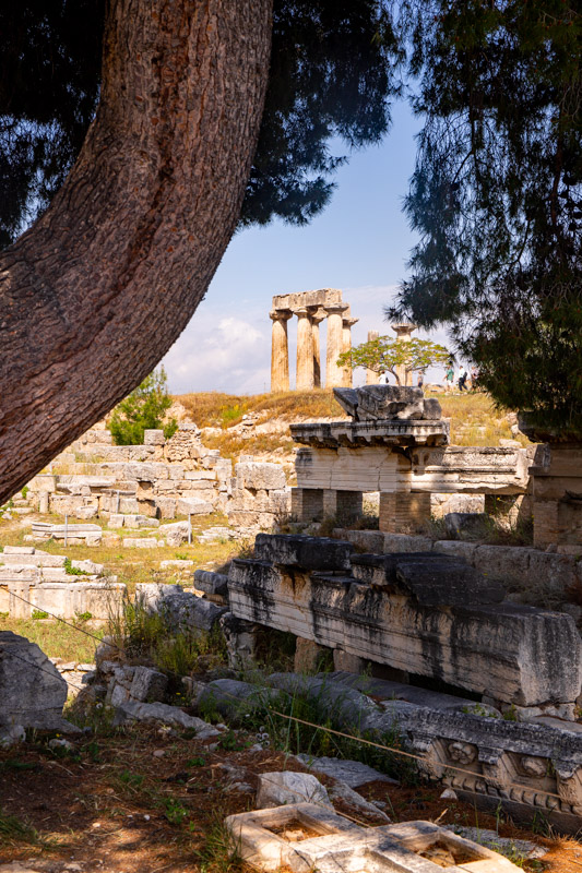 temple of apollo framed by tree branch