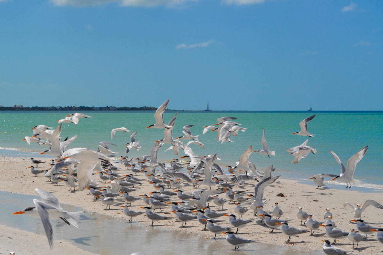 bathrooms at Beer Can Island Longboat Key