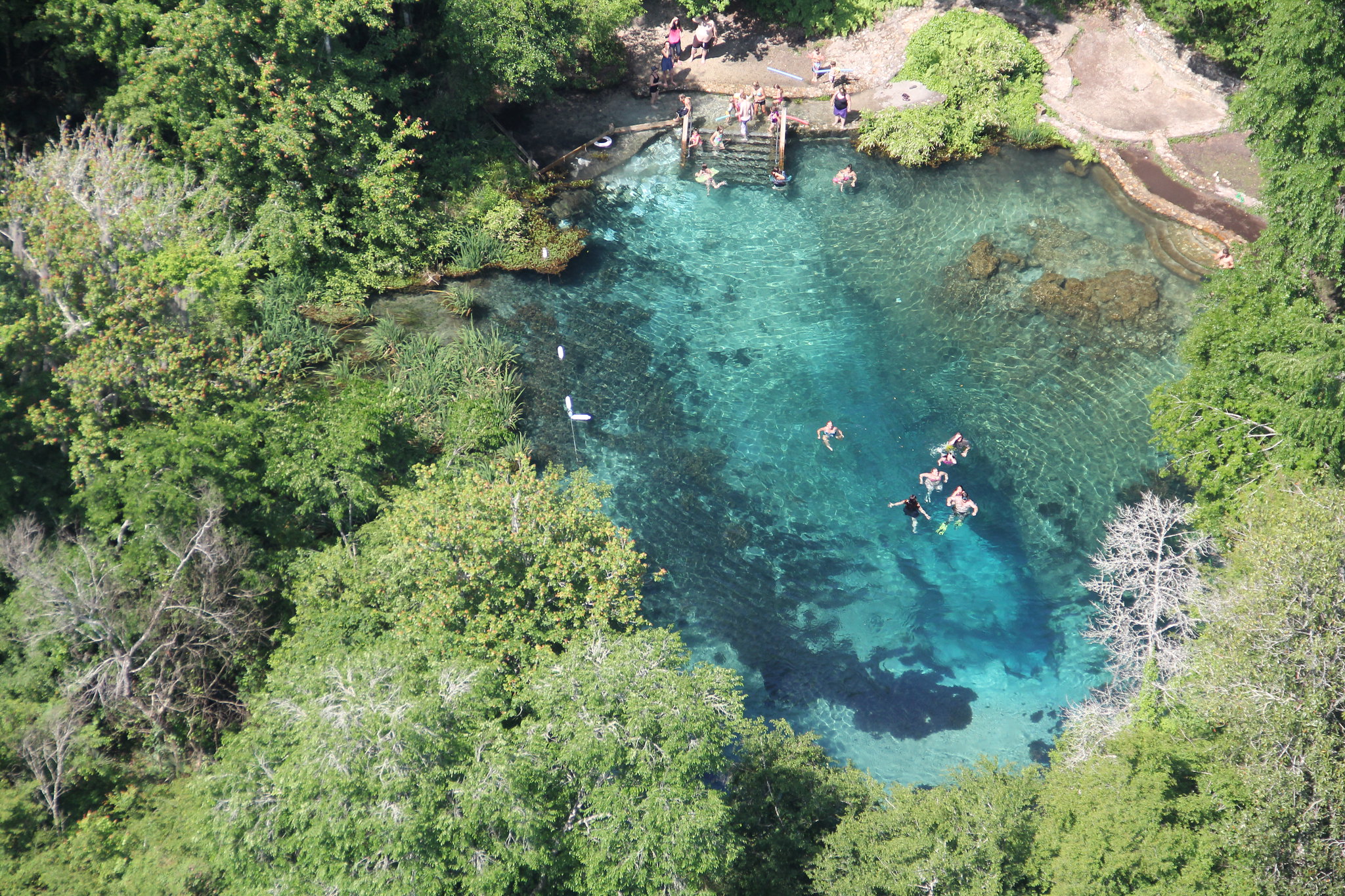 best Things to do near Ichetucknee Springs State Park