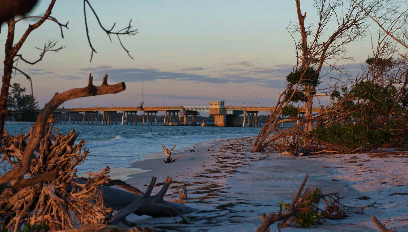 guide to Beer Can Island Greer Island Longboat Key