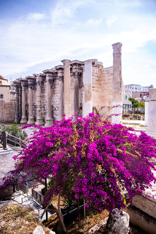 remains of Hadrian's library with bougainvillea in front