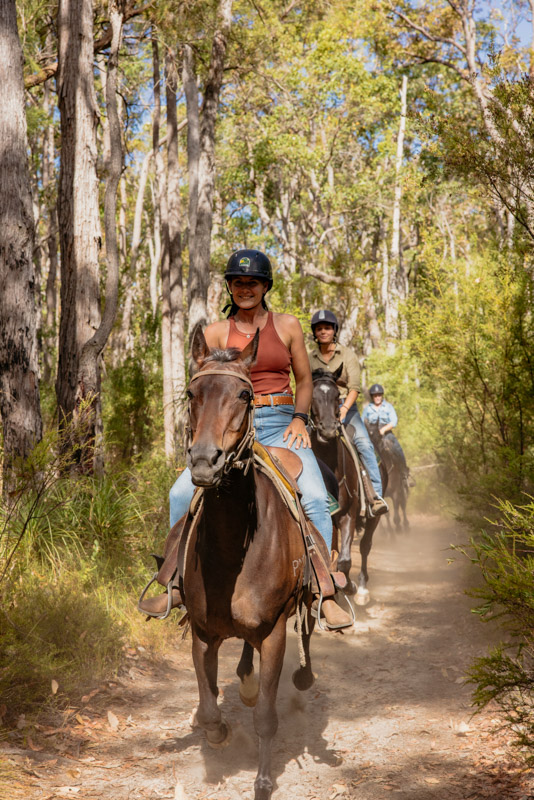 people riding horses through the bush