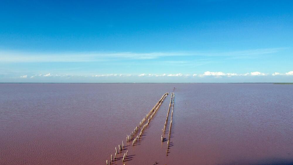 The pink lake . View from the drone