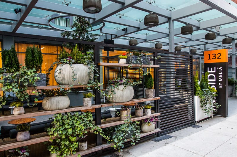 plants on a shelf