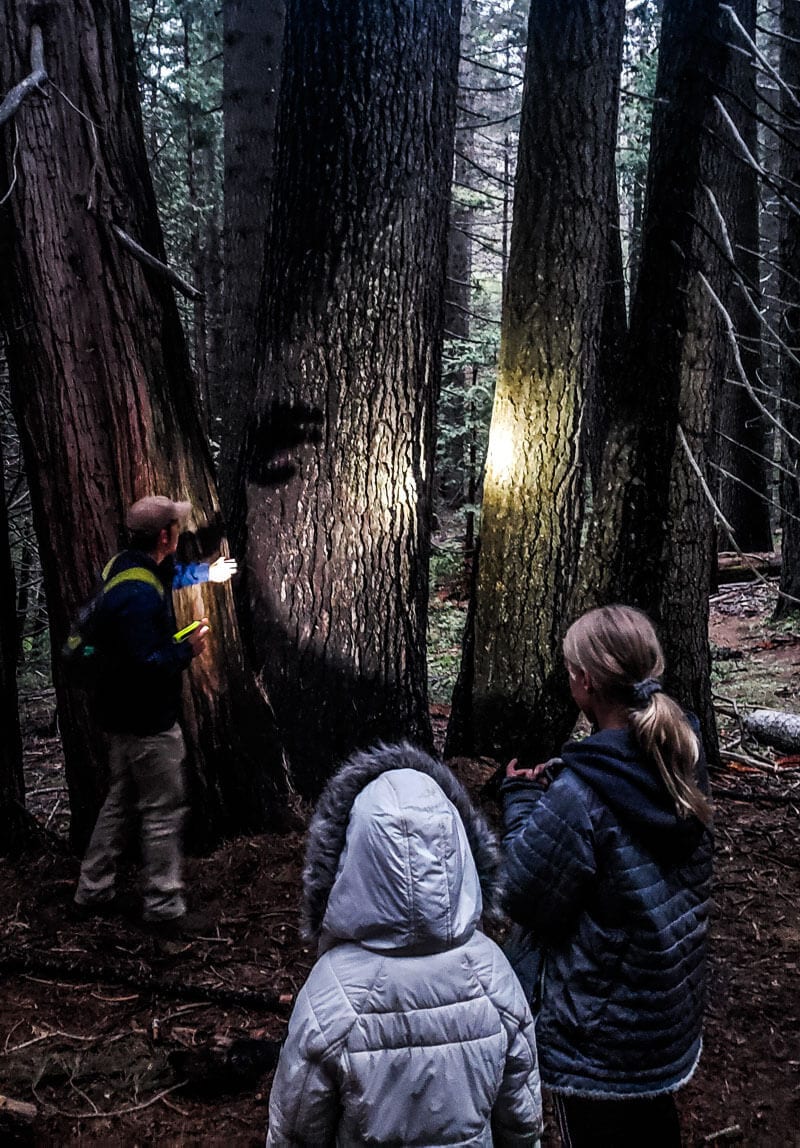 people looking at rees under flashlight