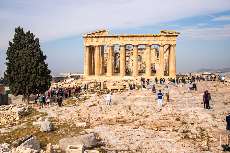 the parthenon with cypress tree beside it