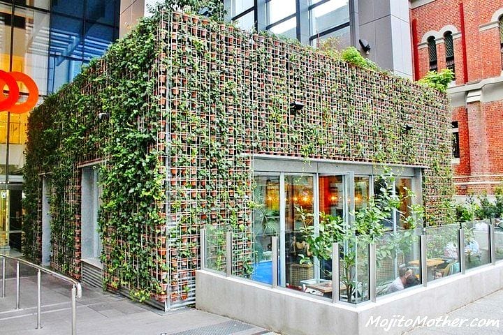 Greenhouse Restaurant covered in living plants