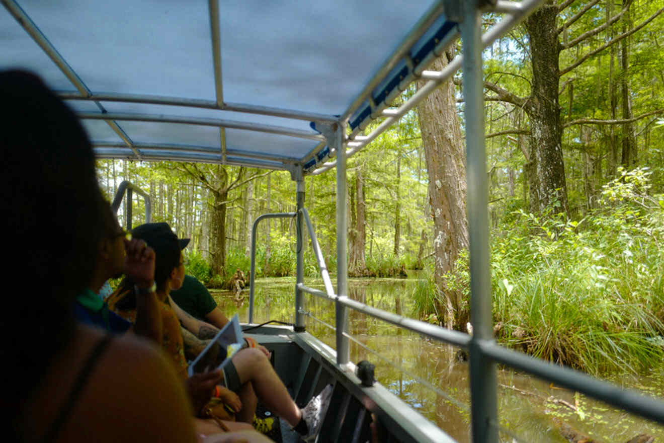 people on a boat tour 