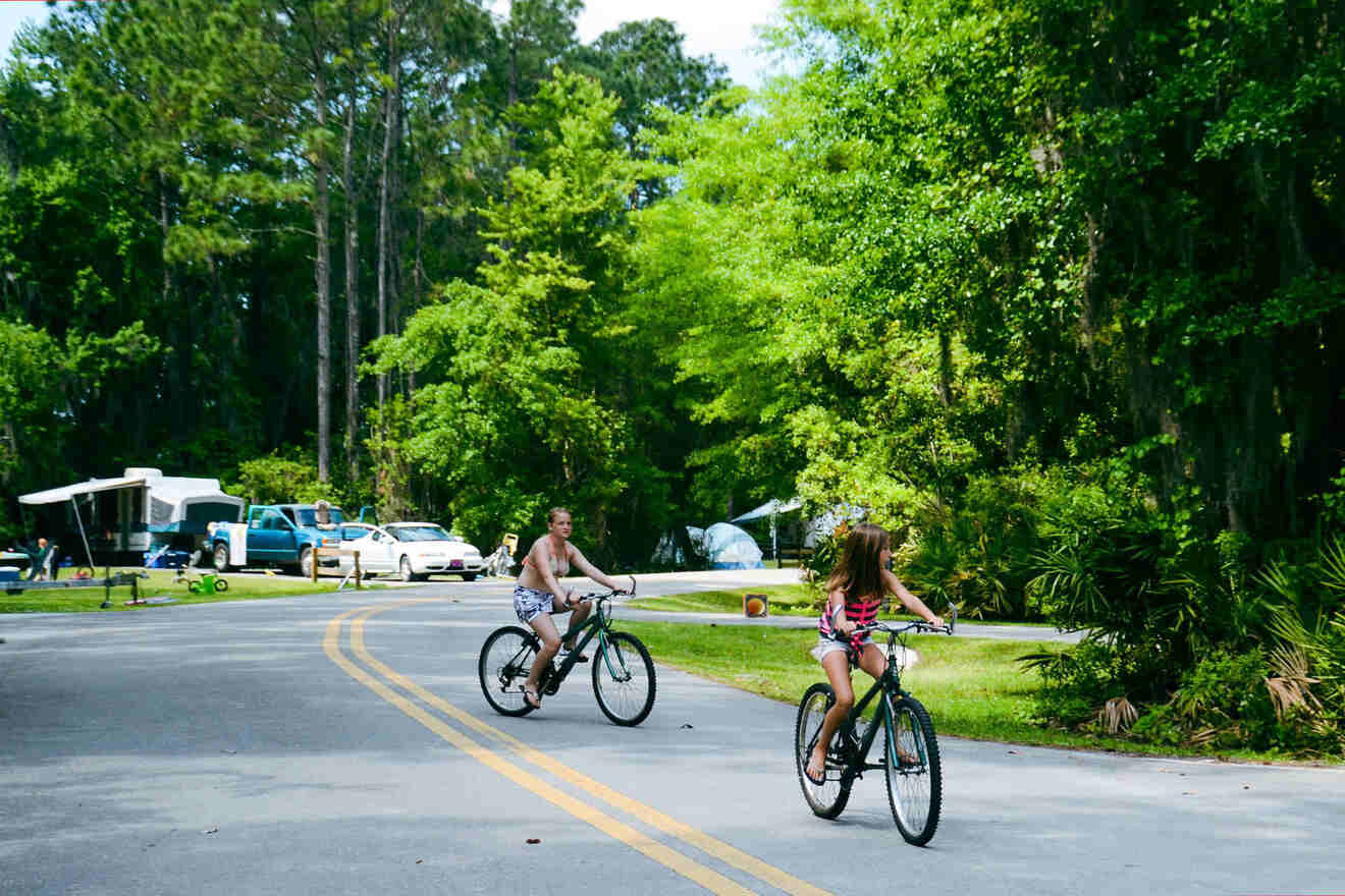 people riding bikes throughout the city 