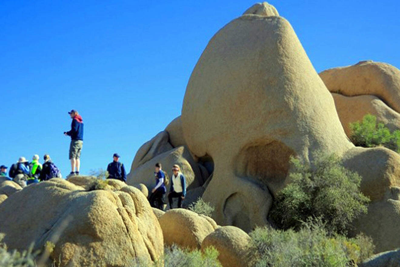 Skull Rock, Joshua Tree National Park