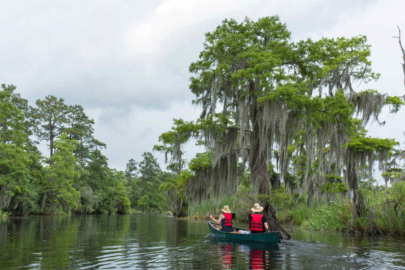 kayaking in Bayou swamp