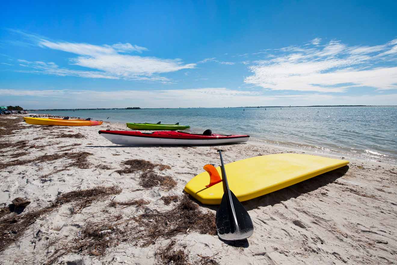 paddle boards on the beach