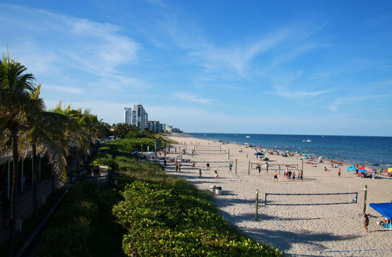 people playing volleyball on the beach