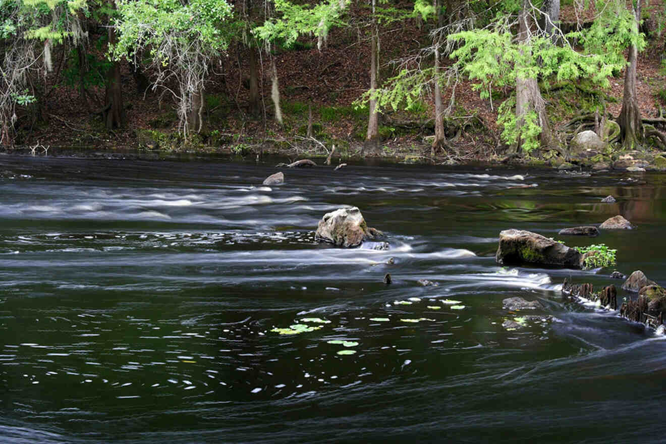 O'Leno State Park