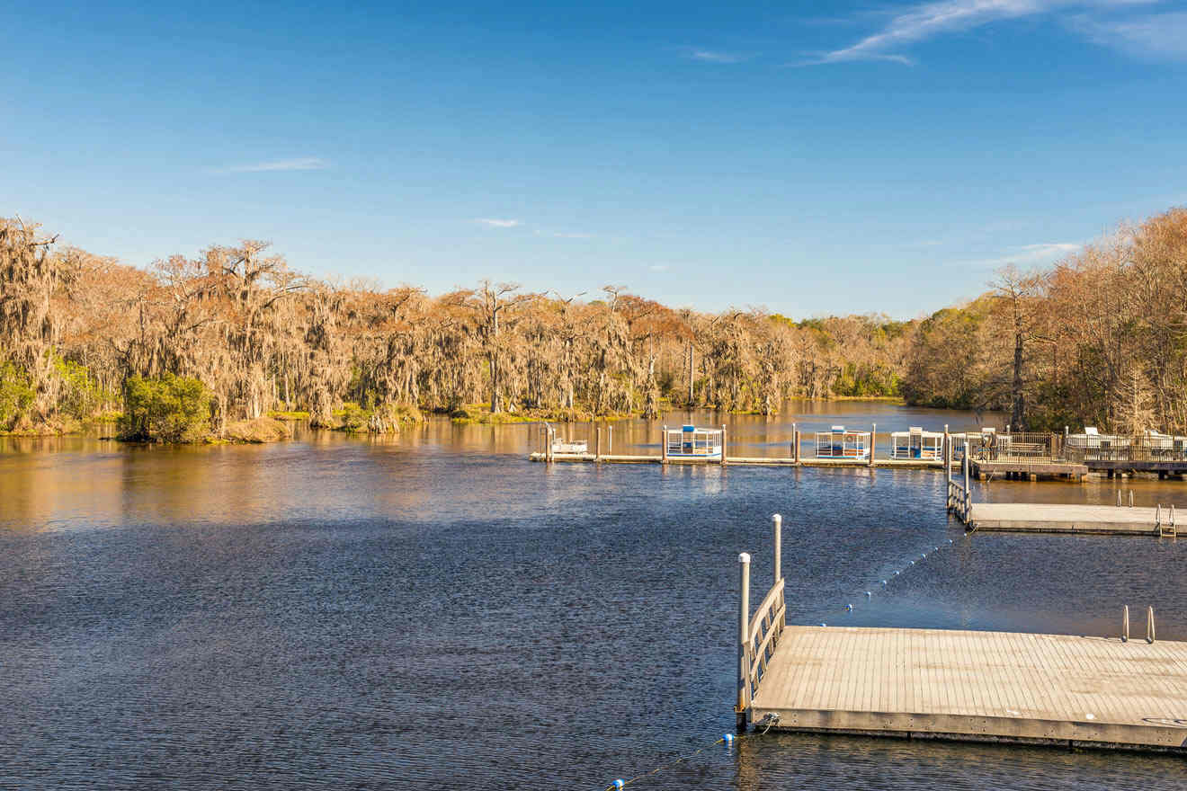 lake view at Edward Ball Wakulla Springs State Park