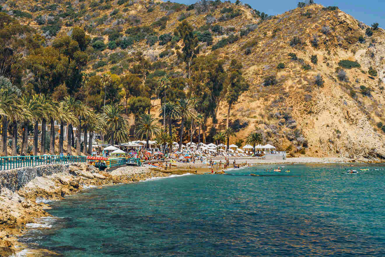 a beach with a mountain in the background