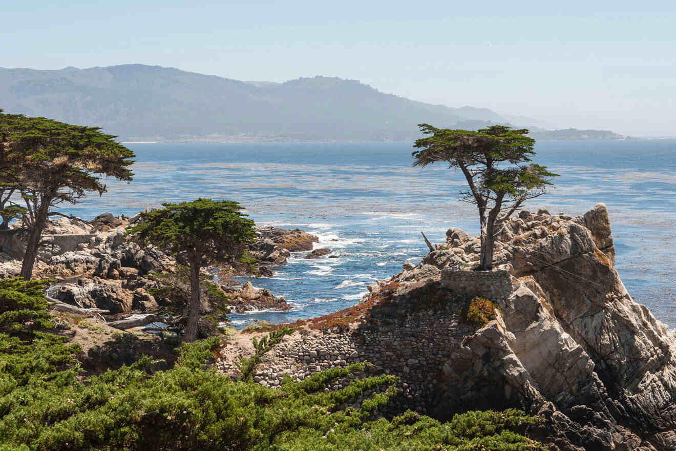 coast near Carmel by the Sea