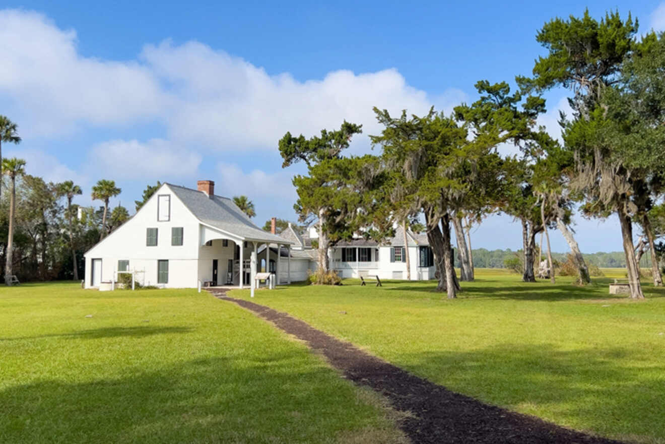 View of the property at Kingsley Plantation