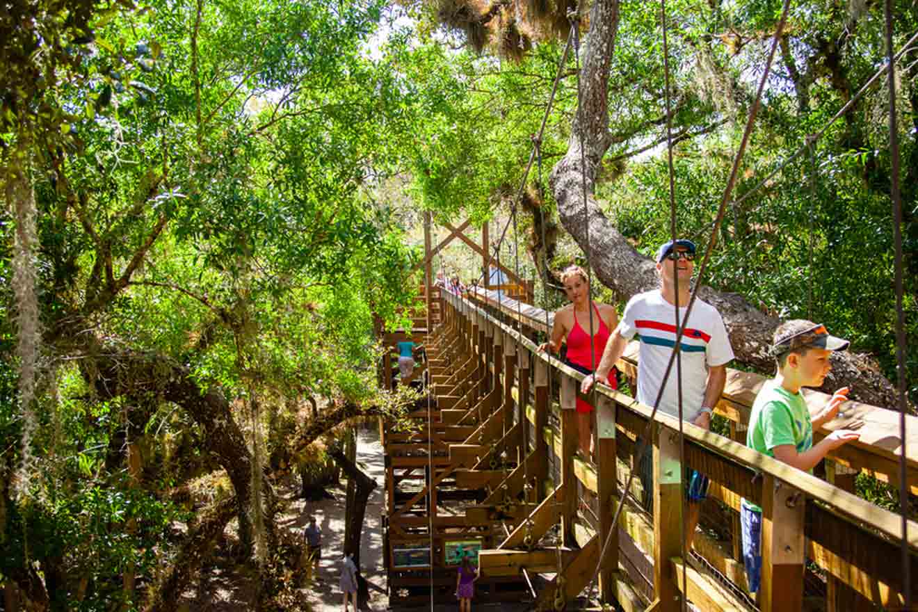 People walking over a bridge at Myakka River State Park