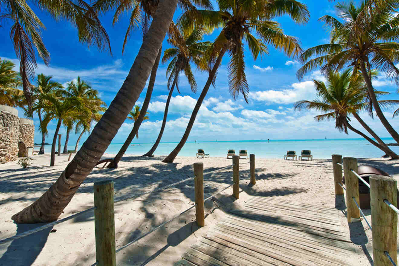 Boardwalk under palm trees leading to the beach