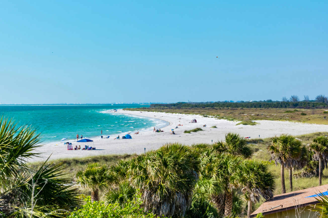 white sand beach in Tampa