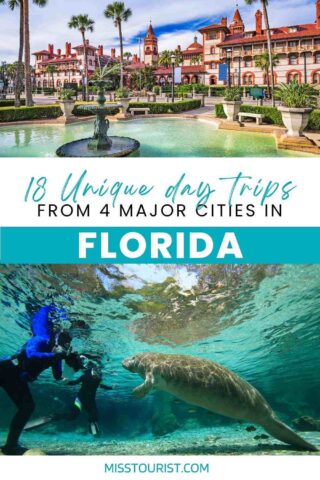 Florida day trips PIN 1