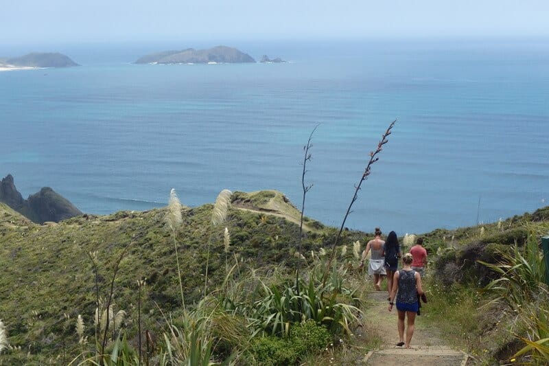 person walking down a hill