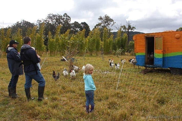 Girls on farm