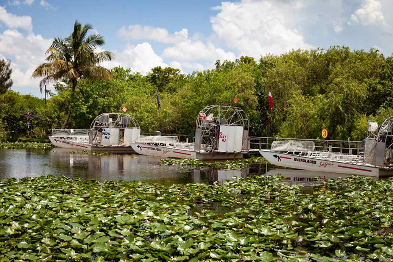 Airboats moored along the marshes in the Everglades