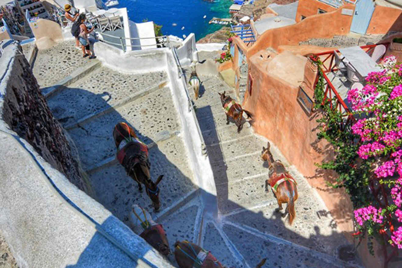 stairs in Oia Santorini