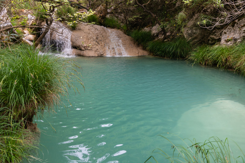 pool of green water