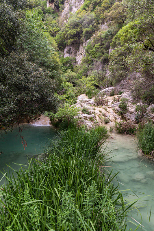 two small rivers in lush forest